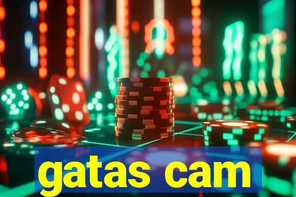 gatas cam